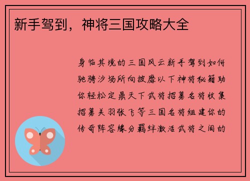 新手驾到，神将三国攻略大全
